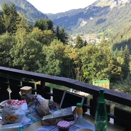 Studio With Balcony And Mountain View *